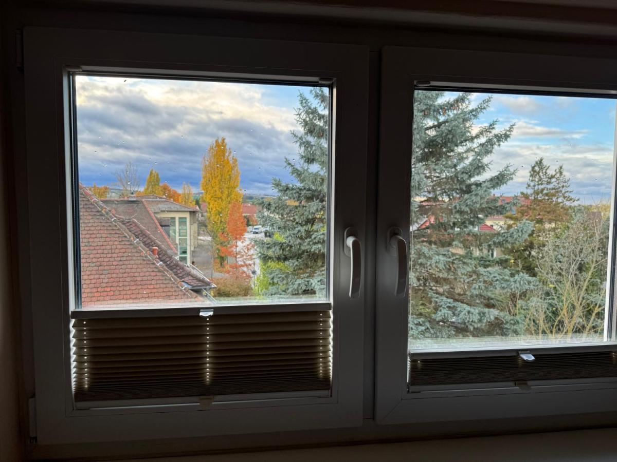 205 Qm "Traumtor" Mit Sauna, Whirlpool, Kamin Und 3 Terrassen Mit Blick In Die Boehmisch Saechsische Schweiz Dresden Exterior foto